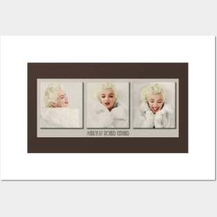 Marilyn Posters and Art